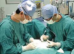 圆梦•塑梦--广东省妇幼保健院唇腭裂慈善救助活动
