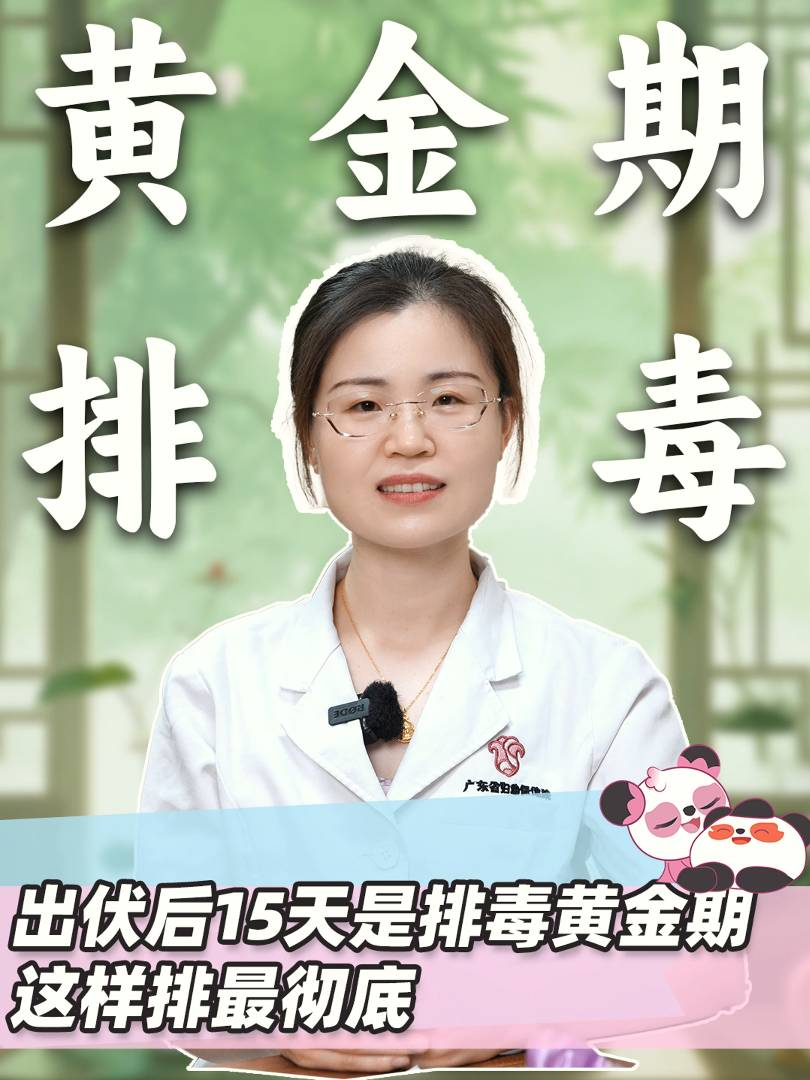 出伏后15天是排毒黄金期，这样排更彻底