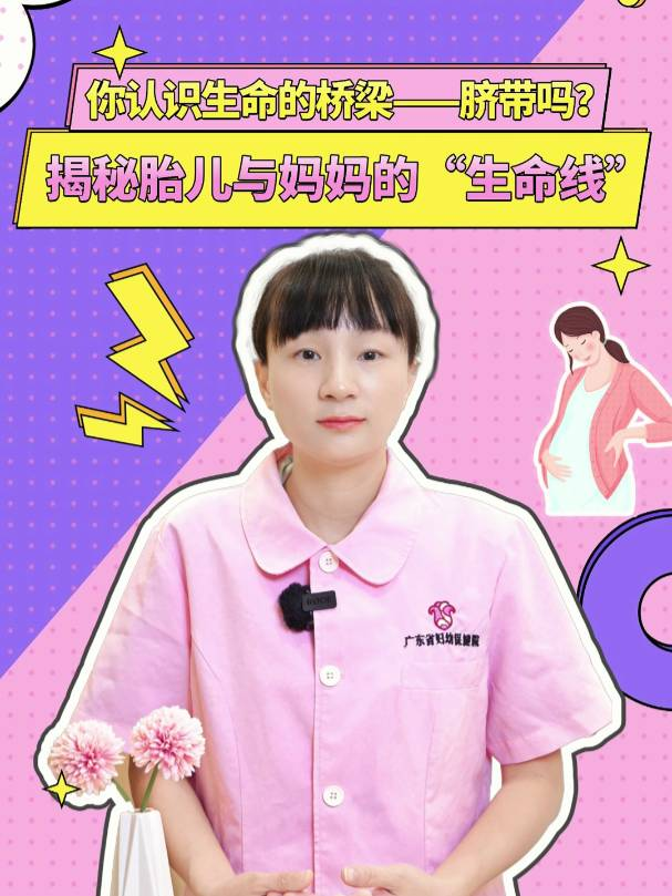 你认识生命的桥梁——脐带吗？揭秘胎儿与妈妈的“生命线”