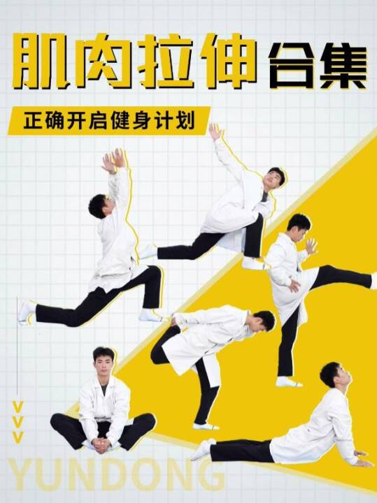 肌肉拉伸合集
