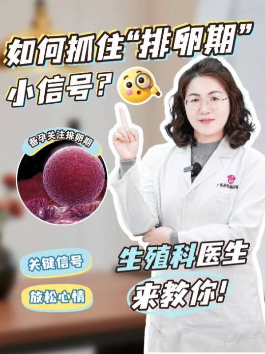 如何抓住“排卵期”的小信号？